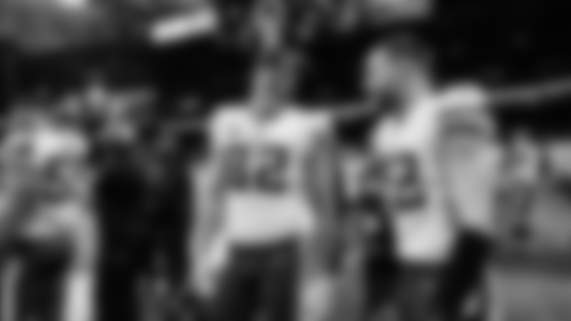 Minnesota in Monochrome: Vikings-Lions