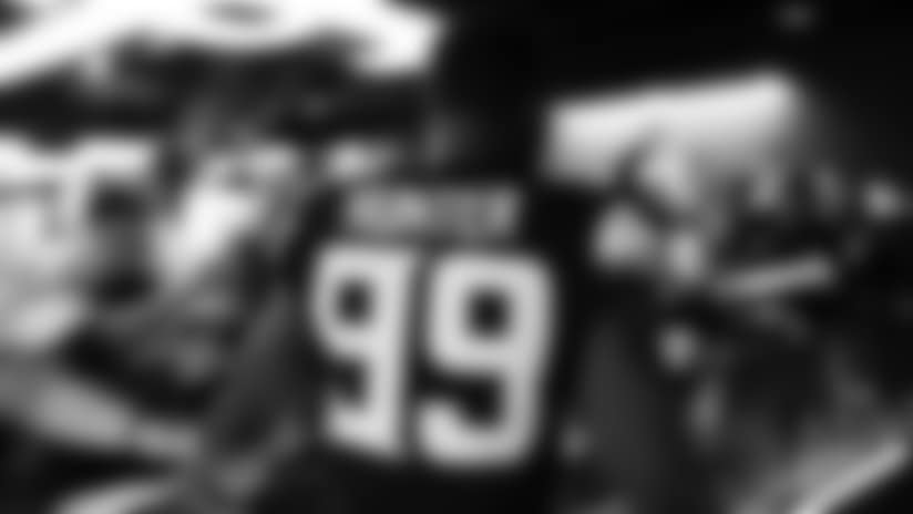 Through the Lens: Vikings-Lions