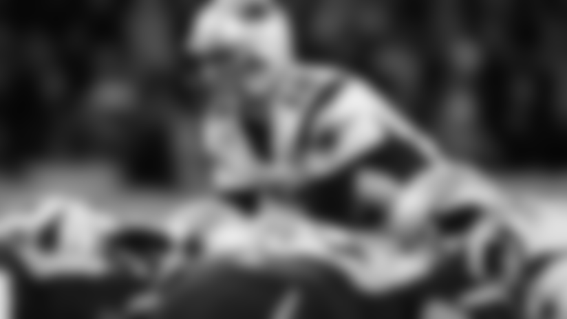 500x305-20121031-brady.png