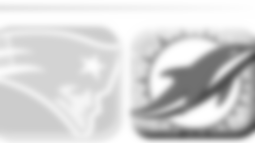 20140904-dolphins-pass-v2.png
