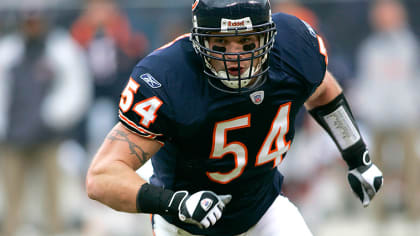 NFL: Linebacker Urlacher back in action for Bears – Macomb Daily