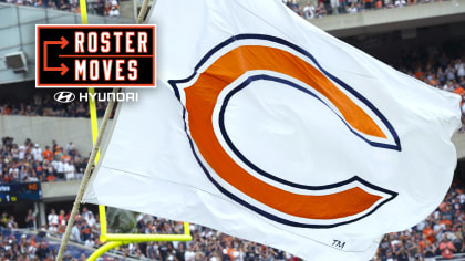 A Quick Glance at Your New Chicago Bears - The Irish Bears Network