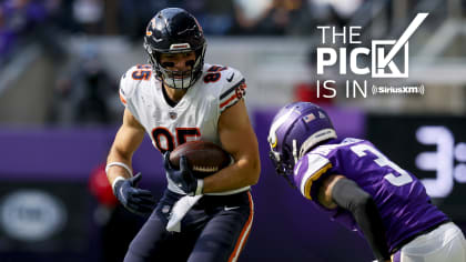 minnesota vikings and chicago bears