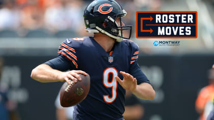 Is Chase Daniel the new Chicago Bears starting quarterback?