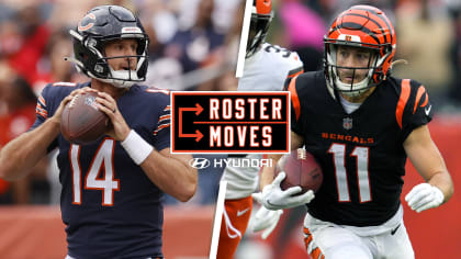 Chicago Bears roster moves: QB Nathan Peterman and punt returner Trent  Taylor join the active roster