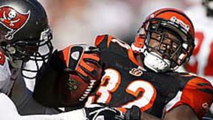 Rudi Johnson of the Cincinnati Bengals carries the ball against the