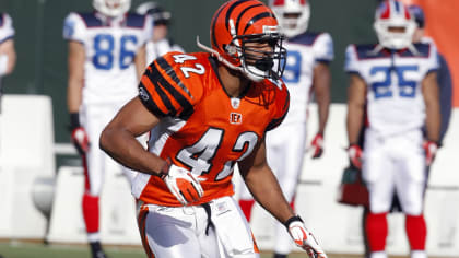 Cincinnati Bengals History History by the Decade Bengals