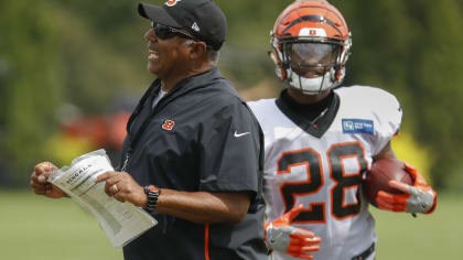 Cincinnati Bengals retain Marvin Lewis as head coach, NFL News