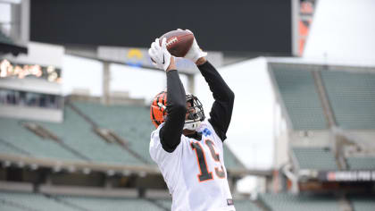 Cincinnati Bengals wide receiver Auden Tate (19) catches a pass