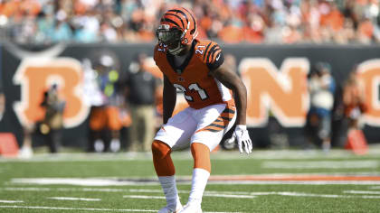 Cleveland Browns vs Cincinnati Bengals Week 17 NFL Game Preview