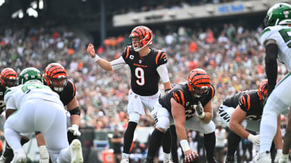 Watch: Controversial Ejections In The Bengals vs. Dolphins Game