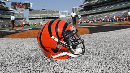 Bengals Hire Two Assistant Coaches, Finalize 2019 Staff