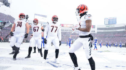 NFL highlights on Jan. 2: Joe Burrow seals AFC North title for Bengals -  CGTN