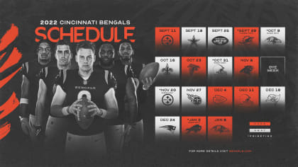 bengals rams pre season