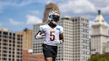 Tee Higgins is confident Bengals can adjust without Ja'Marr Chase:  'Everything will be alright' 