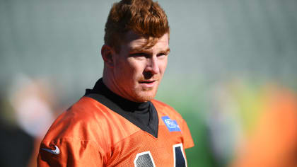 So how exactly did Bengals QB Andy Dalton end up in the Pro Bowl? - Los  Angeles Times