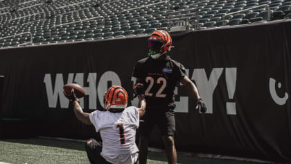 Bengals Practice Report: Acrobatic Catches Lead Offense To