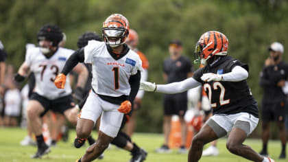 Bengals Training Camp Notes: D.J. Reader likes Line Youth; Big Willie Visits