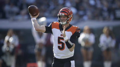 Oakland, California, USA. 17th Nov, 2019. Cincinnati Bengals wide receiver Auden  Tate (19) was taken off the field after getting hurt in a play with Oakland  Raiders safety Curtis Riley (35), during