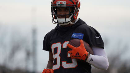 Bengals Quick Hits: Tyler Boyd Loves Bills Fans, But Not Monday; Joe Mixon  Eyes Gio Bengals Record And Salty Bills LBs; Check Out Zac Taylor's  Favorite Day Of '22