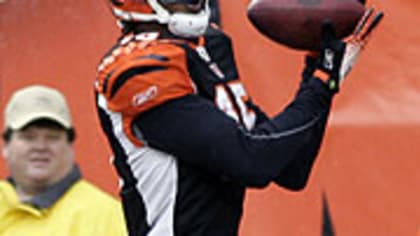 Cincinnati Bengals Ryan Fitzpatrick tosses the ball to Chris Perry