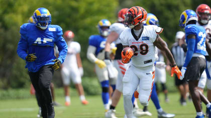 Bengals minicamp observations: What happened at Wednesday's practice 