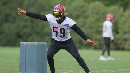 Cincinnati Bengals' Akeem Davis-Gaither (59) celebrates with Cam Sample  (96) during an NFL football game against the Baltimore Ravens, Sunday,  Sept. 17, 2023, in Cincinnati. (AP Photo/Jeff Dean Stock Photo - Alamy