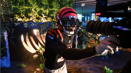 Behind the Scenes of the White Bengal Helmet