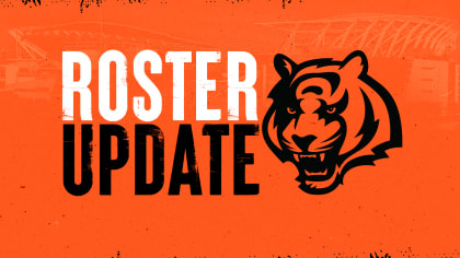 Tigers Make Their Final Roster Moves