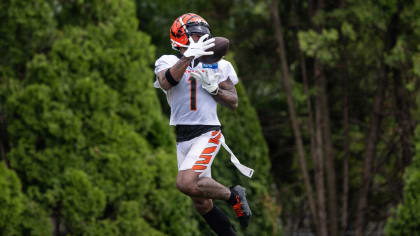 Cleveland Browns Training Camp 2023: WR Preview, Part 1 - Dawgs By