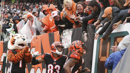 NFL on ESPN - The Oakland Raiders fans made the trip to Cleveland.