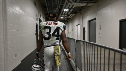 perine bengals