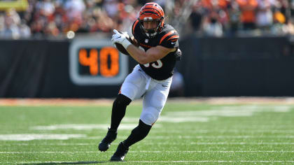 BROWNIES & FROWNIES: Bengals get creamed 41-16 - Dawgs By Nature