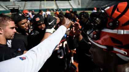 Bengals training camp sees pads and scuffles arrive in full force