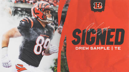 Drew Sample Stats, News and Video - TE