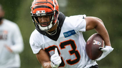 Bengals WR Tyler Boyd Knows What It's Like To Step Up In Wake Of Injury