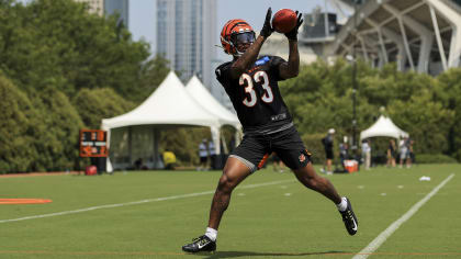 Bengals: Lewis looking for leaders