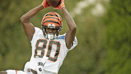 Chad Johnson calls A J Green Bengals greatest receiver of all time