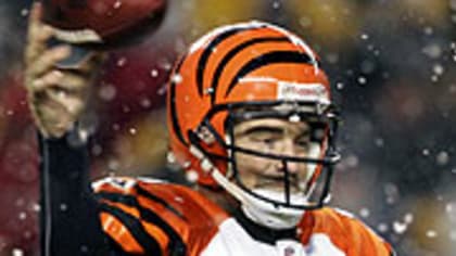 2008 Week 7 - Steelers @ Bengals 