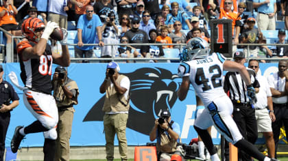 Panthers ground-and-pound their way to a 31-21 win over Bengals