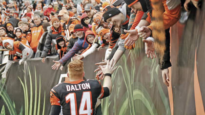 Cincinnati Bengals: Andy Dalton likes focus on running game