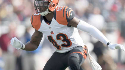 bengals zebra uniforms