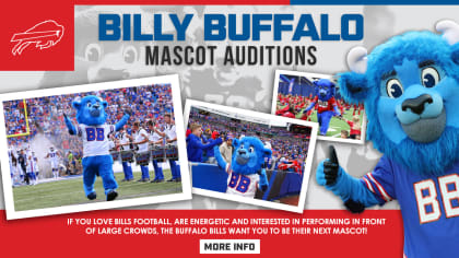 billy buffalo stuffed animal