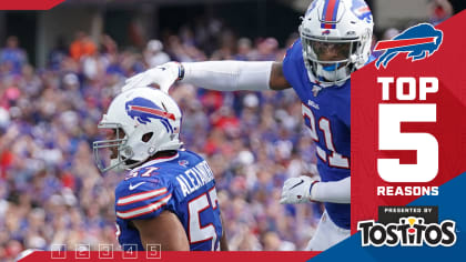 Bills Vs. Bengals: Steve Johnson, Ryan Fitzpatrick and Other Buffalo Game  Balls, News, Scores, Highlights, Stats, and Rumors