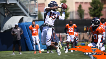 Denver Broncos wide receiver Juwann Winfree celebrates after catching a  touchdown pass during t …