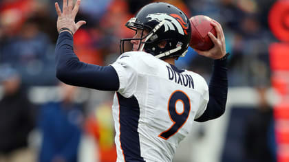 Denver Broncos Fantasy Football Team Preview - Fake Teams