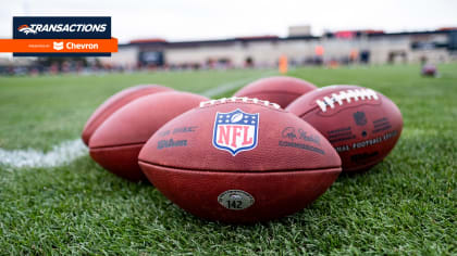 Bears Sign 11 Players to Their Practice Squad - On Tap Sports Net