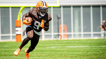 Cleveland Browns Jakeem Grant injured