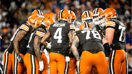 The Browns are going to be the most fun NFL team in 2019, win or