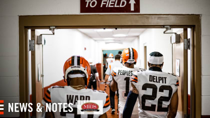 Brace Yourselves, Steelers' AFC North Rival Cleveland Browns